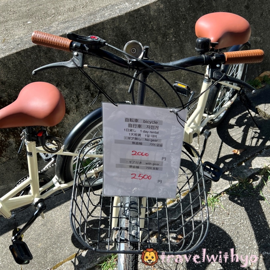 宮古島租車|1起搭乘郵輪去旅遊~護照影本可租借 - 第3張圖