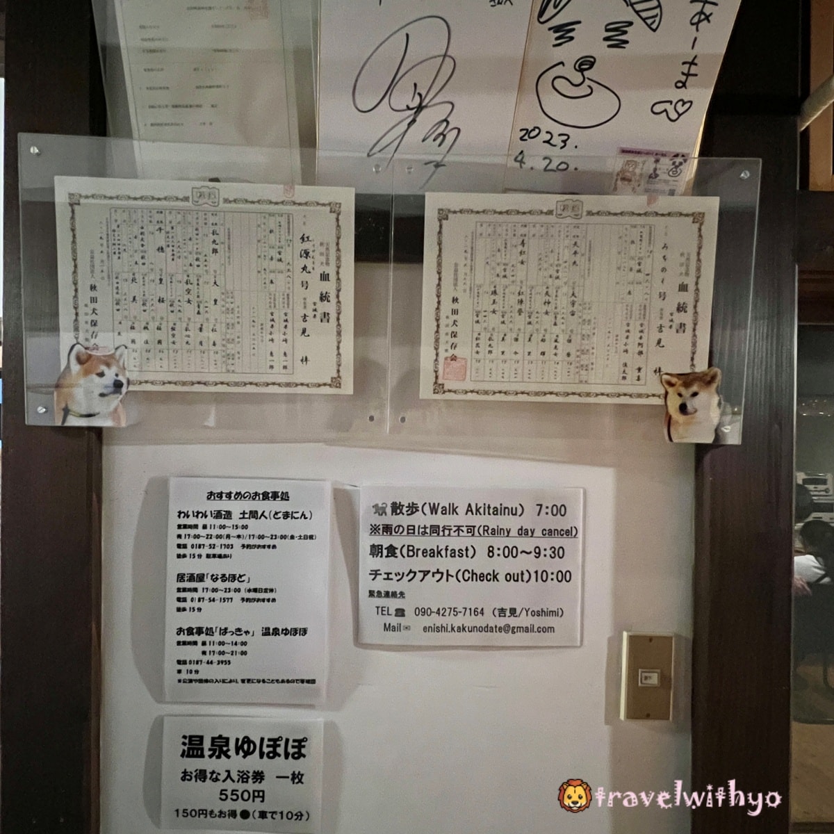 角館|縁 Enishi 秋田犬民宿:與秋田犬共度的獨特日式住宿體驗 - 第20張圖